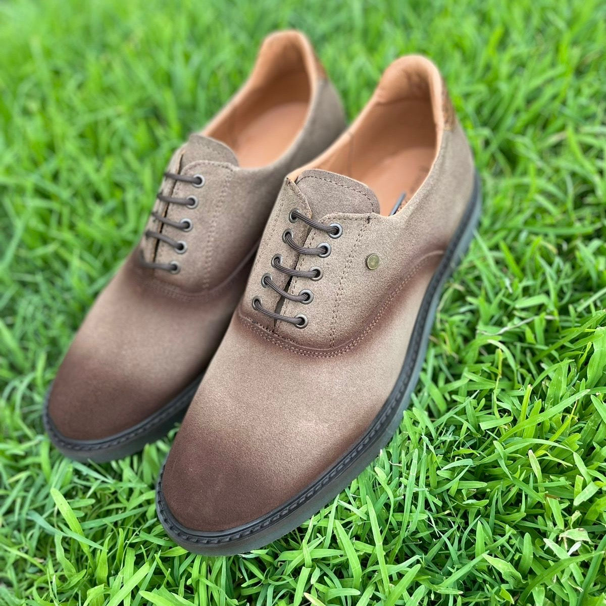 Oxford gamuza canela Mod Enzo 001