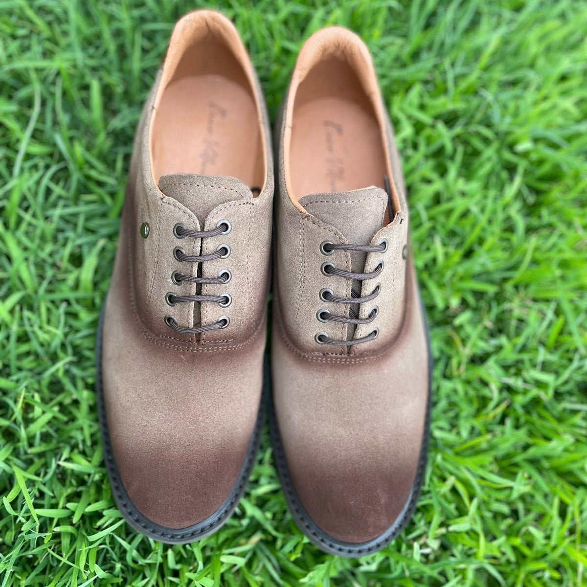 Oxford gamuza canela Mod Enzo 001