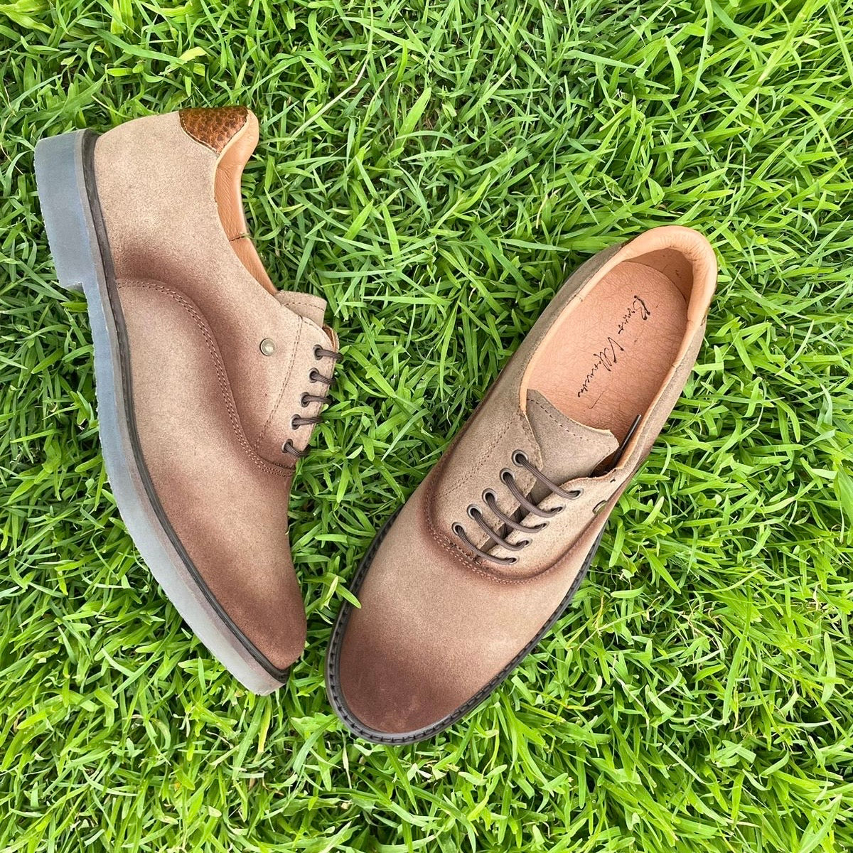 Oxford gamuza canela Mod Enzo 001