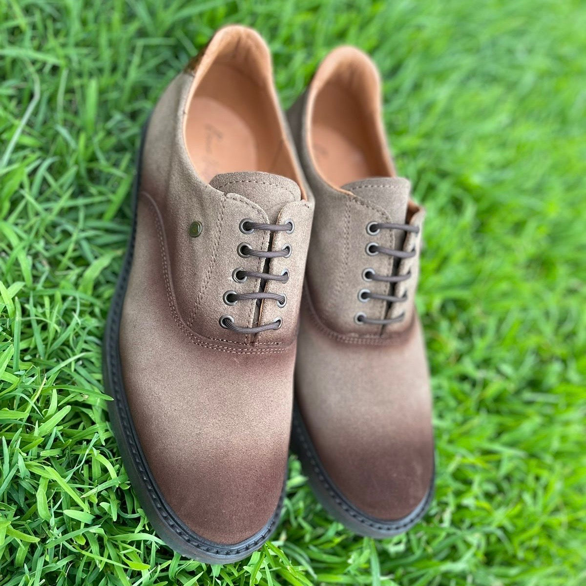 Oxford gamuza canela Mod Enzo 001