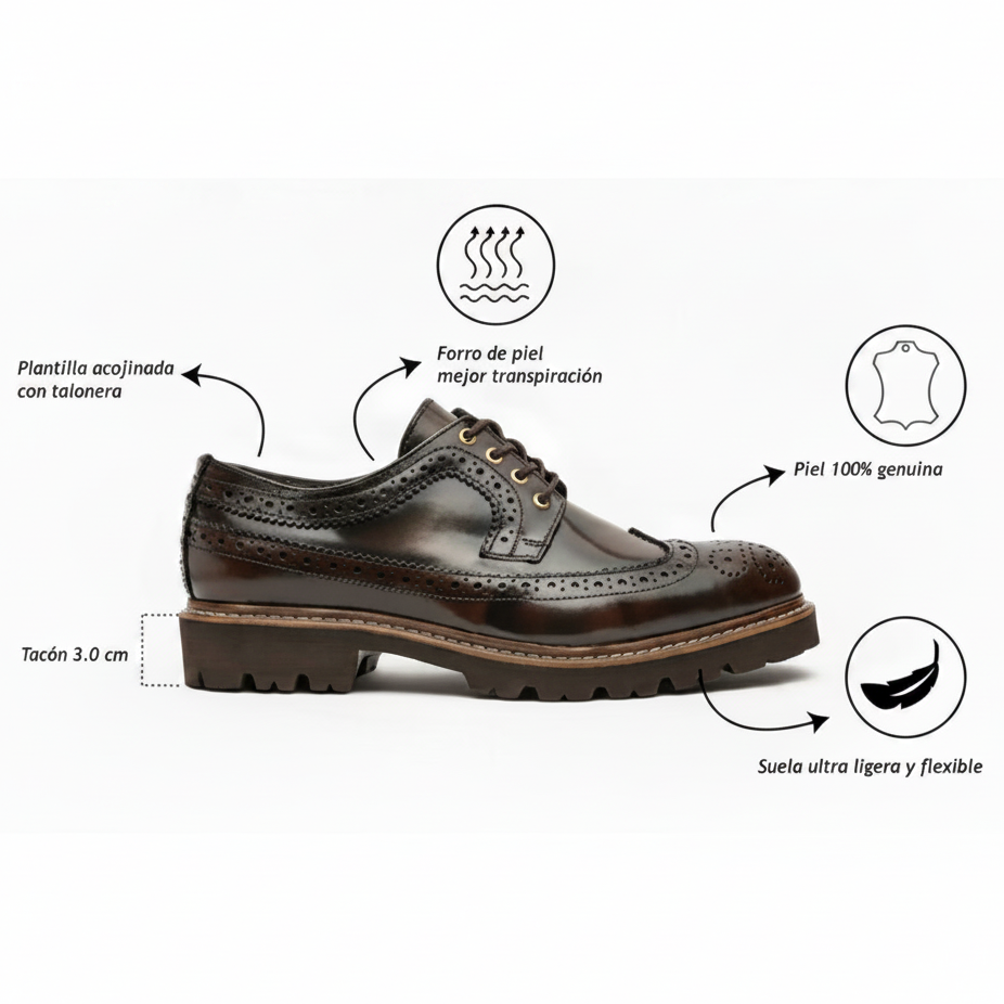 Bostoniano  camaleon café estilo Brogue mod 5428